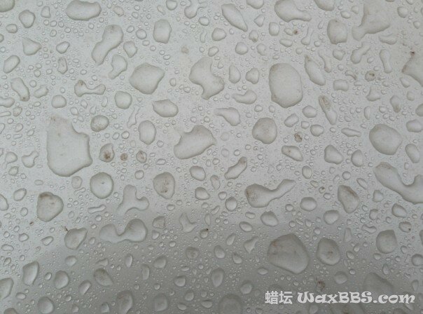 第四天 机盖3.jpg