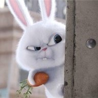 盘锦鑫宏伟汽车美容