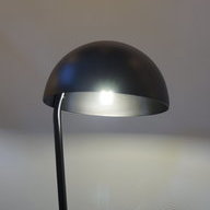 Anne养绿植的野兽