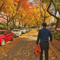 小北京权权爱CG