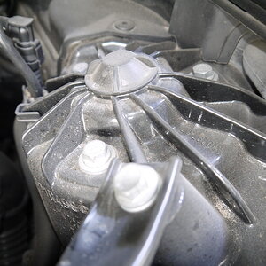 P1250142_缩小大小