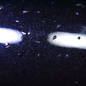 P1250251_缩小大小