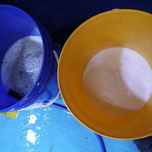 P1250254_缩小大小