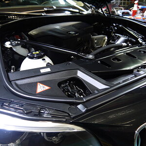 P1250314_缩小大小