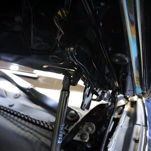 P1250319_缩小大小