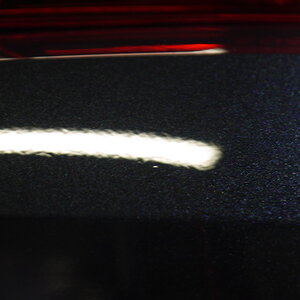 P1250345_缩小大小