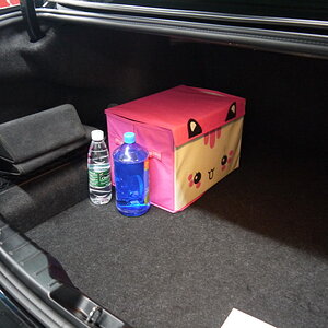 P1250353_缩小大小