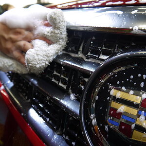 P1250991_缩小大小