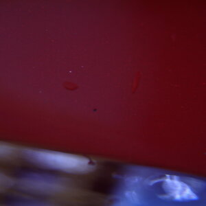 P1260008_缩小大小