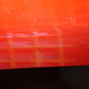 P1260009_缩小大小