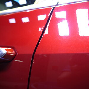 P1260076_缩小大小