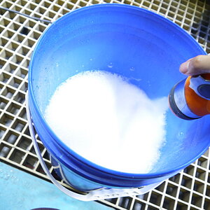 P1260090_缩小大小