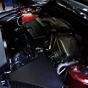 P1260170_缩小大小