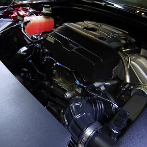 P1260173_缩小大小