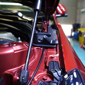 P1260175_缩小大小