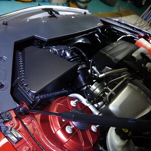 P1260176_缩小大小