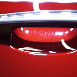 P1260177_缩小大小