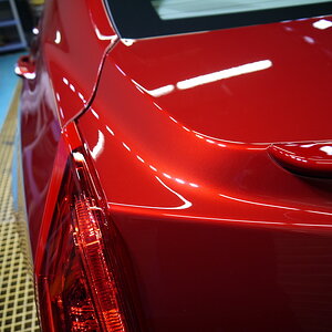 P1260236_缩小大小