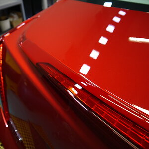 P1260237_缩小大小