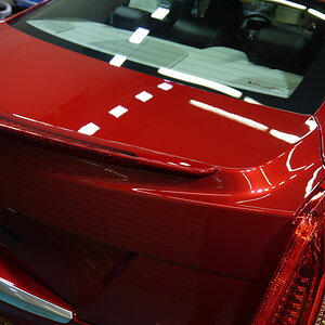 P1260238_缩小大小