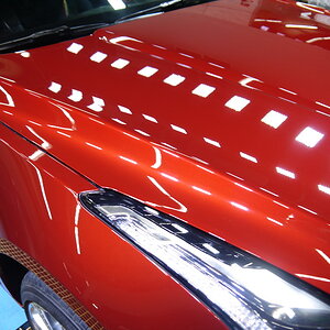 P1260242_缩小大小