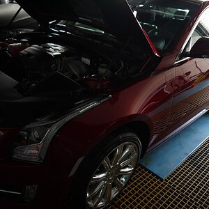 P1260250_缩小大小