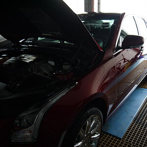 P1260251_缩小大小