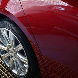 P1260266_缩小大小