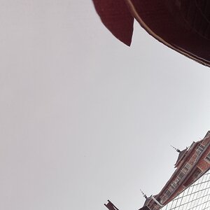 自我感觉良好中4