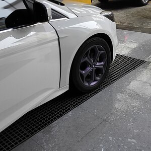 阿达姆斯美洲棕榈蜡