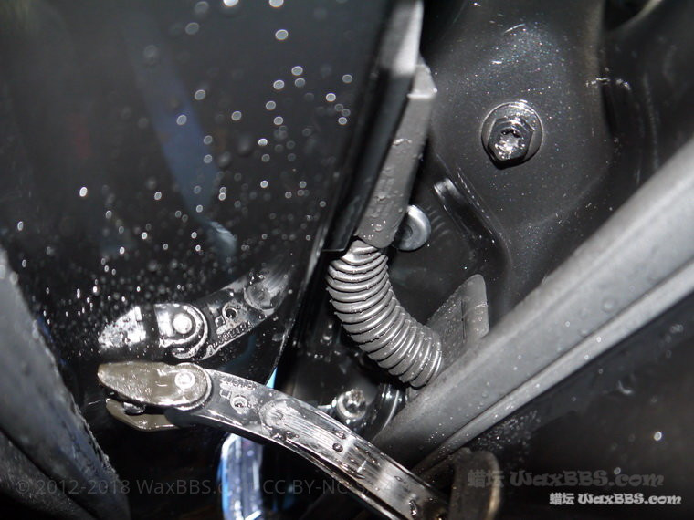 P1250148_缩小大小