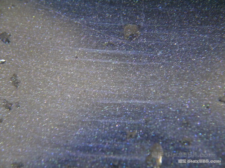 P1250249_缩小大小