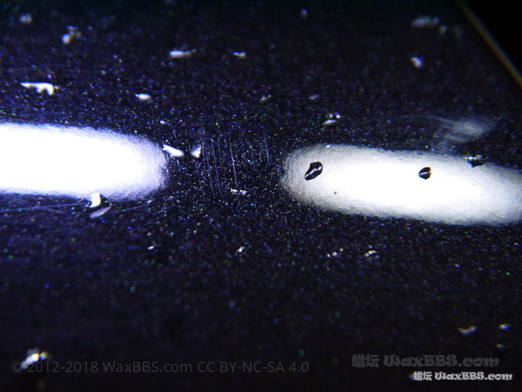 P1250251_缩小大小