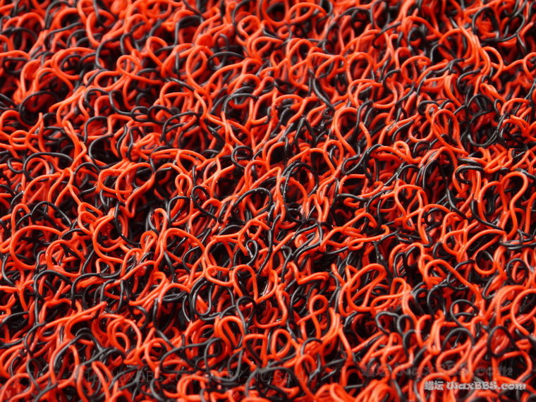 P1250696_缩小大小