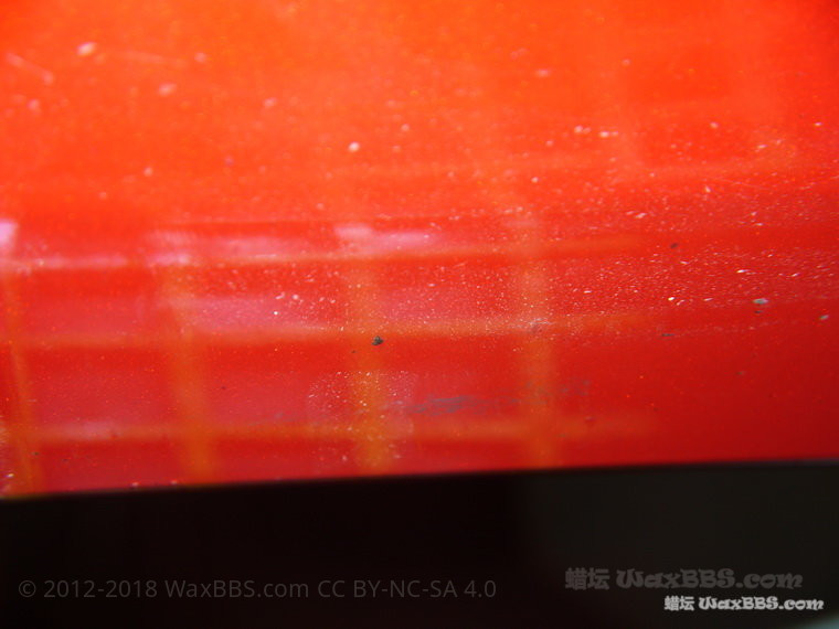 P1260009_缩小大小