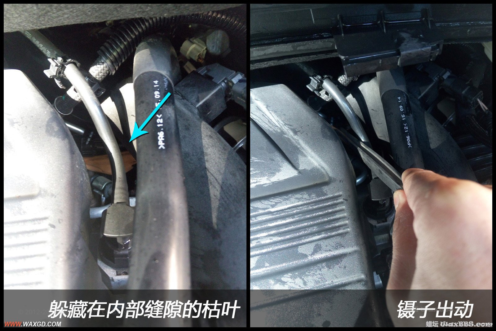 2-3 镊子-对比照片.jpg