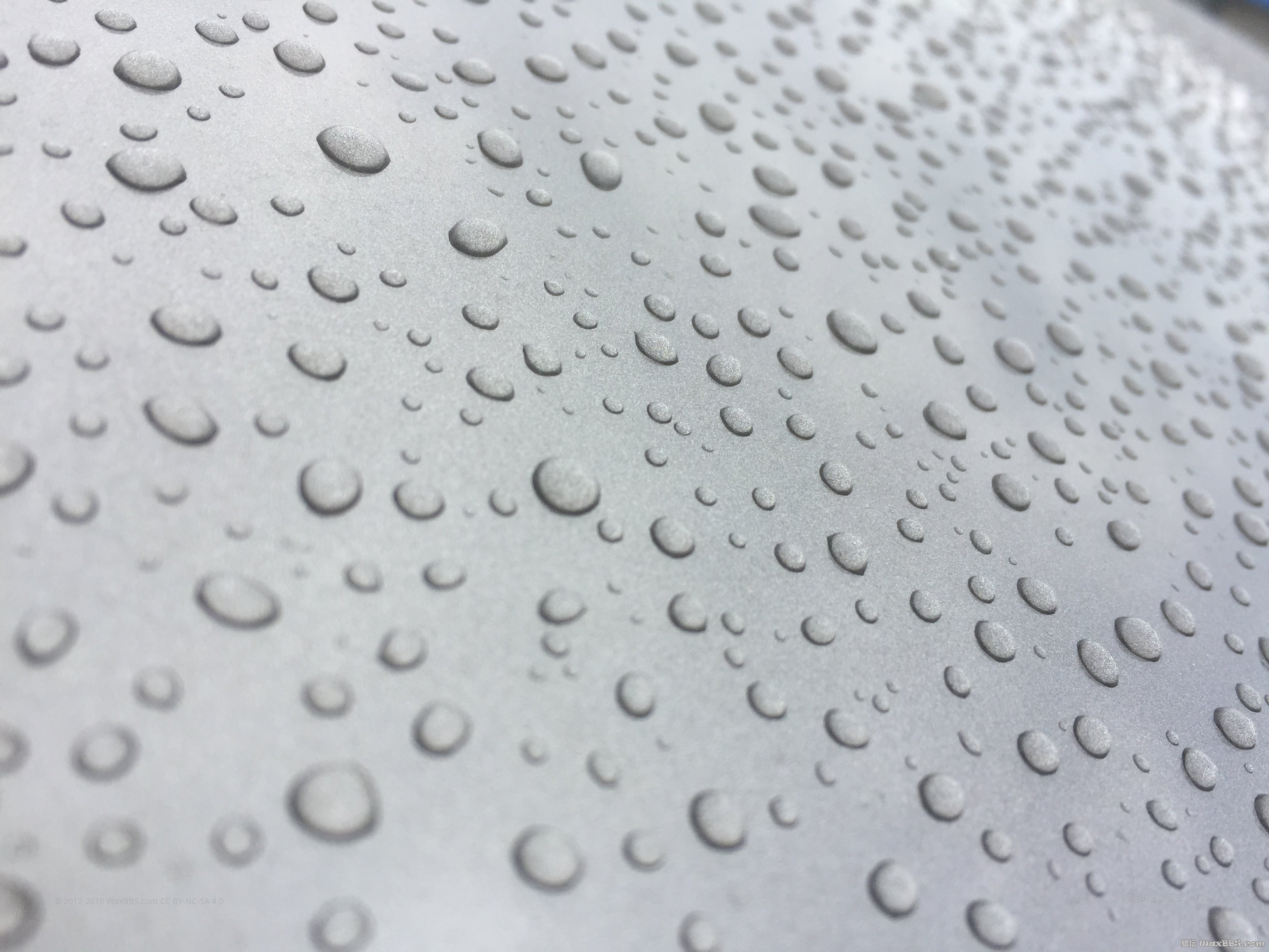 2017-03-21 101859.jpg