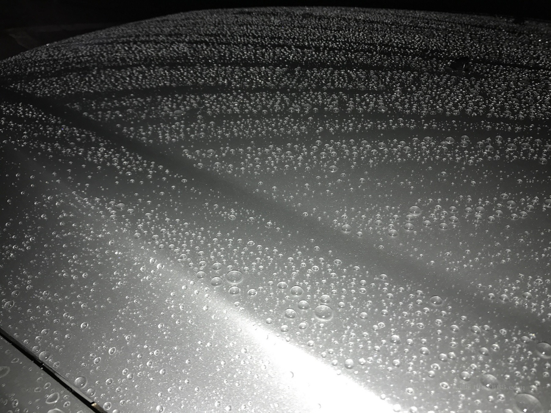 20200517_IMG_0906 001.jpg