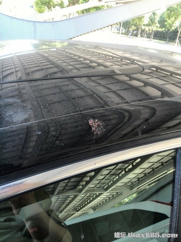 洗车前车况-局部.jpg