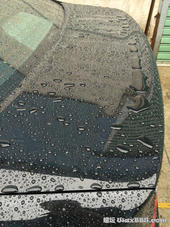 2014-11-28 092057.jpg