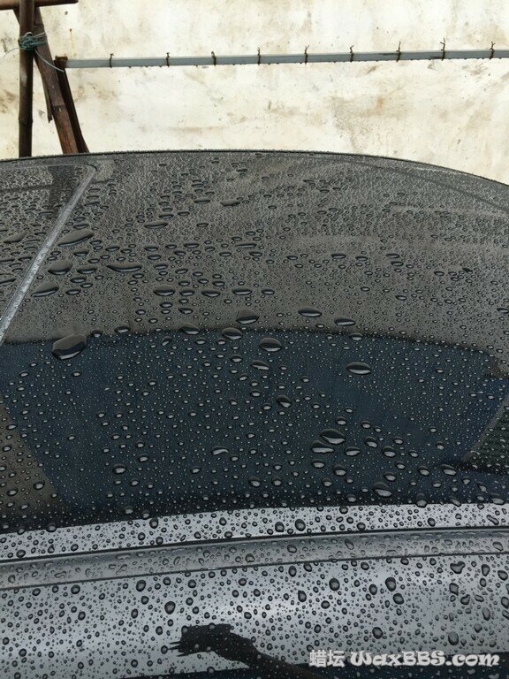 2014-11-28 092138.jpg