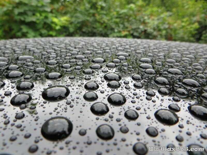 Dodo Juice Diamond White1.jpg