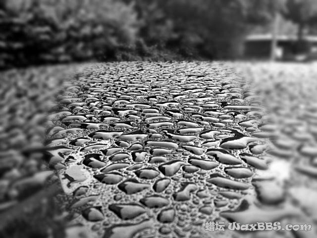 Chemical Guys Butter Wet Wax1.jpg