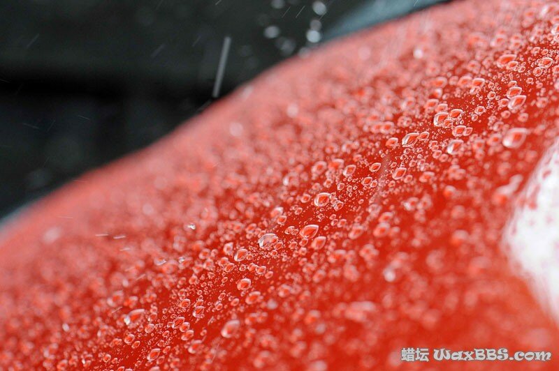 Chemical Guys Blacklight.jpg