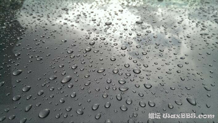 Chemical Guys Pete's 53.jpg