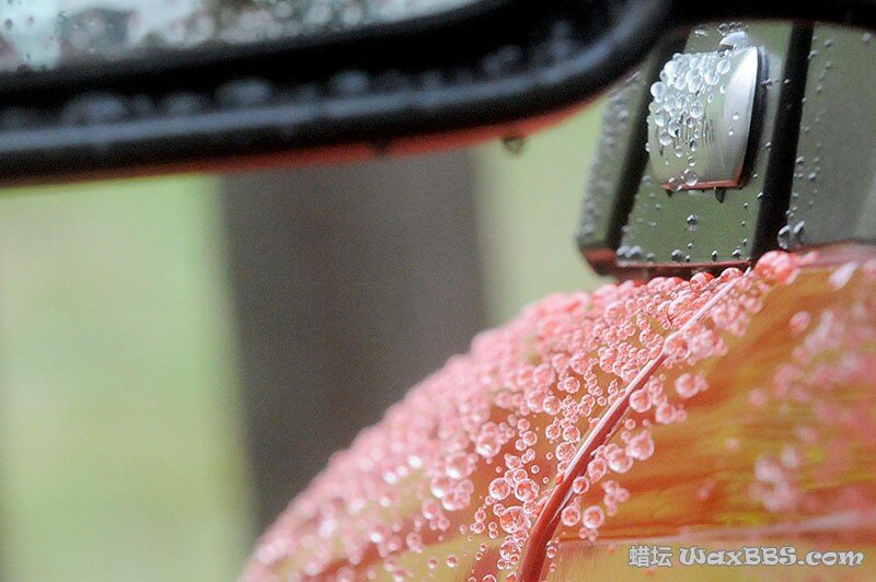 Auto Finesse Passion1.jpg