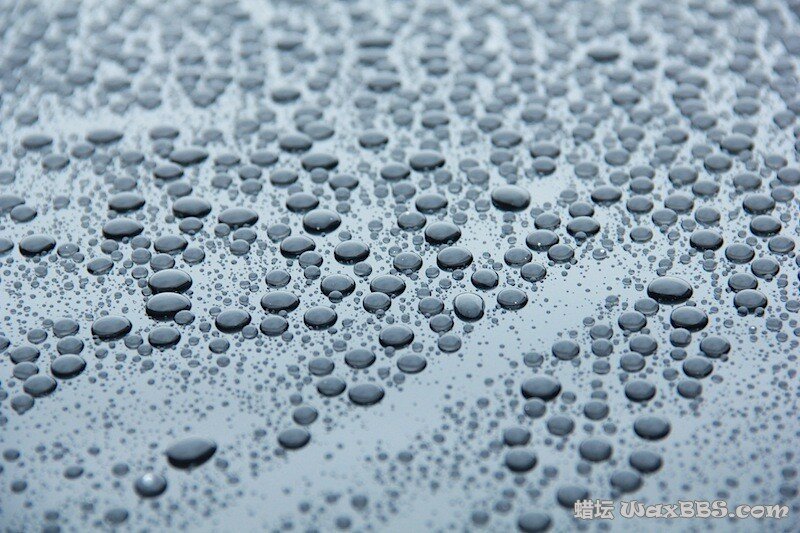 Swissvax Saphir1.jpg