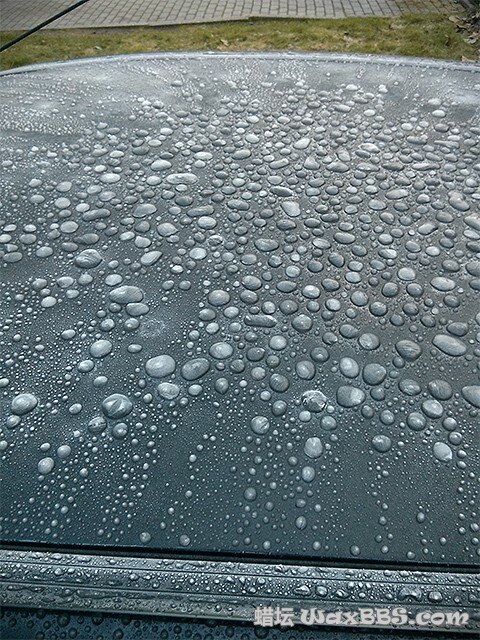 SONAX Brilliant Shine Detailer1.jpg