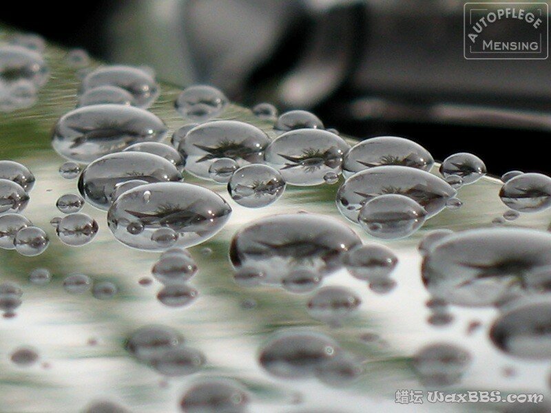 Finish Kare 1000P3.jpg