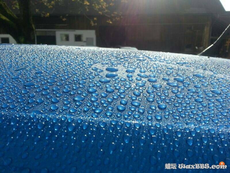 Definitive Wax Carrera Edition.jpg